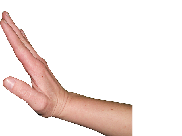 hand gesture pixabay